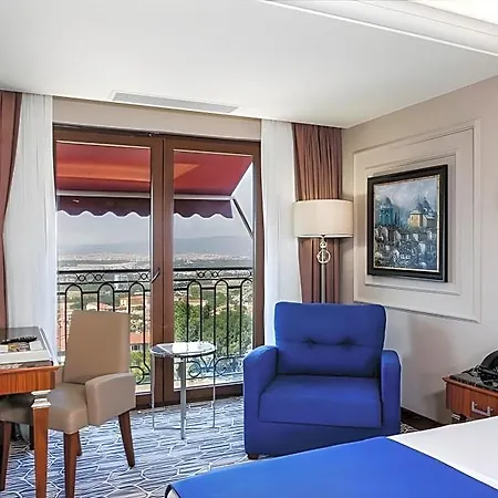 Hotel Anemon