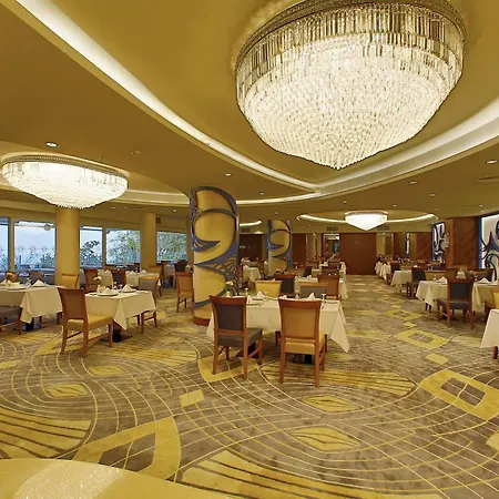 Anemon Bursa
